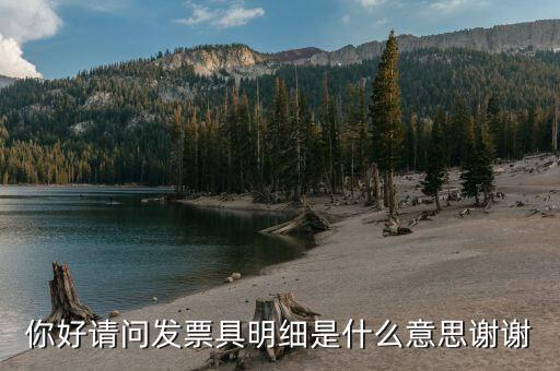 什么是個(gè)稅明細(xì)，個(gè)稅是什么是干嘛的詳細(xì)點(diǎn)哈