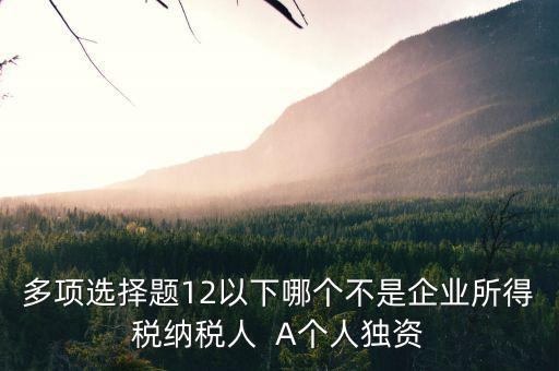 什么納稅人，多項(xiàng)選擇題12以下哪個(gè)不是企業(yè)所得稅納稅人  A個(gè)人獨(dú)資