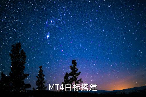 稅務系統(tǒng)為什么進行容災建設，小微企業(yè)該購買什么樣的服務器涉及生產倉儲銷售和財務等  搜