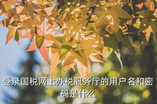 江蘇國(guó)稅電子稅務(wù)局登錄用戶(hù)名是什么，江蘇國(guó)稅網(wǎng)上辦稅服務(wù)廳的用戶(hù)名是什么