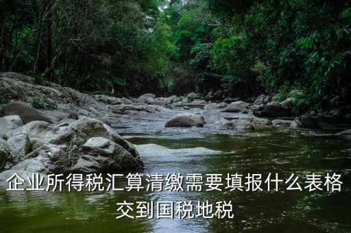 匯算清繳填寫(xiě)什么表格，請(qǐng)教關(guān)于企業(yè)所得稅匯算清繳中需要填寫(xiě)的表格的一些問(wèn)題