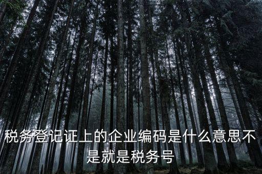 稅務(wù)編碼是什么意思，稅務(wù)登記證上的企業(yè)編碼是什么意思不是就是稅務(wù)號(hào)