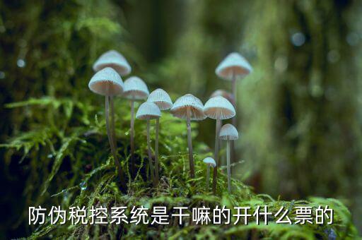 什么是稅控系統(tǒng)數(shù)據(jù)，金稅盤是什么