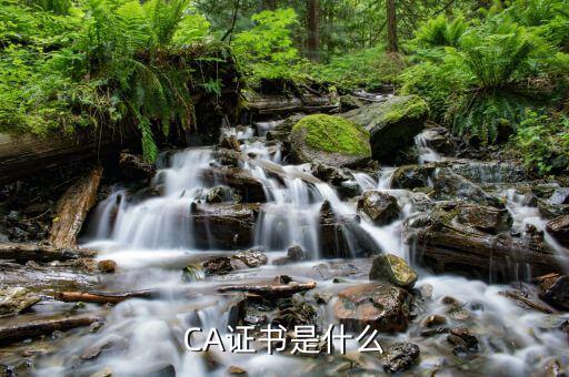 ca證書驅動是什么意思，我電腦上安裝了其他電子證書的驅動還能使用中國移動的CA證書驅