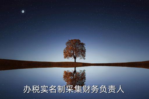 什么是實(shí)名辦稅，辦稅實(shí)名制采集財(cái)務(wù)負(fù)責(zé)人