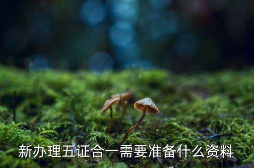 稅務(wù)五證合一需要什么資料，五證合一后稅務(wù)變更需要什么資料
