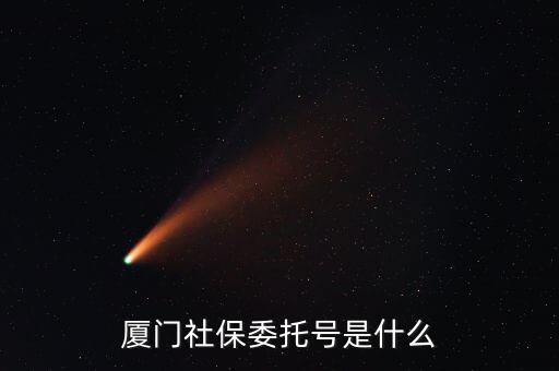 地稅社保委托號(hào)是什么，三證合一后去地稅局打社保單子說(shuō)是與社保局的納稅人識(shí)別號(hào)不一