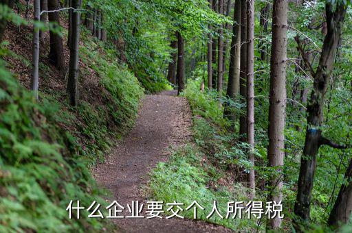 什么單位交個(gè)人所得稅，什么企業(yè)要交個(gè)人所得稅
