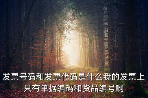 發(fā)票代碼指什么地方，增值稅普通發(fā)票的12位發(fā)票代碼在什么位置