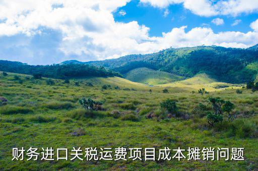財務進口關稅運費項目成本攤銷問題