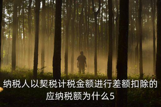 為什么 契稅 差額計稅，最新房產(chǎn)稅費
