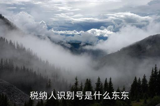 客戶納稅識(shí)別號(hào)是什么意思，稅納人識(shí)別號(hào)是什么東東