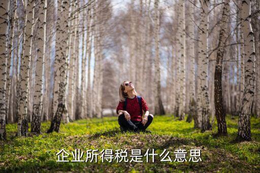 企業(yè)所得稅指的什么意思，什么是企業(yè)所得稅