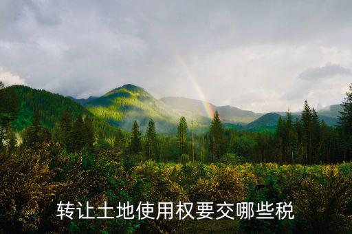 轉(zhuǎn)讓土地使用權(quán)要交什么稅，轉(zhuǎn)讓土地使用權(quán)要交哪些稅