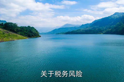 什么叫稅務(wù)風(fēng)險管理，稅務(wù)風(fēng)險管理的稅務(wù)風(fēng)險管理制度