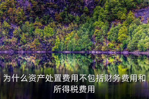 籌資費(fèi)用為什么不考慮所得稅，為什么資產(chǎn)處置費(fèi)用不包括財(cái)務(wù)費(fèi)用和所得稅費(fèi)用