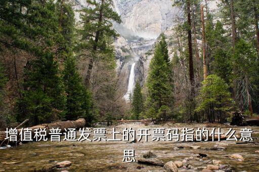 增值票的開票碼是什么意思，增值稅普通發(fā)票上的開票碼指的什么意思