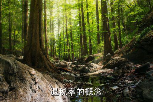 出口退稅率是什么意思，出口退稅率是什么意思啊什么樣的人要交呢