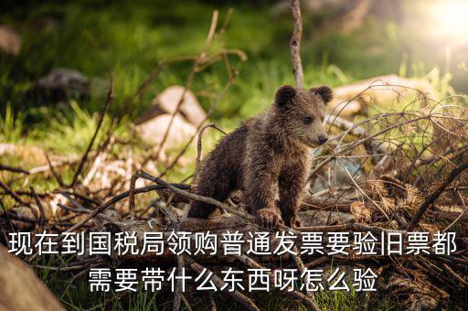 發(fā)票驗(yàn)舊都需要帶什么，現(xiàn)在到國(guó)稅局領(lǐng)購(gòu)普通發(fā)票要驗(yàn)舊票都需要帶什么東西呀怎么驗(yàn)