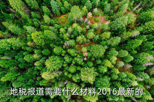 地稅報道需要什么，地稅報稅需要什么資料