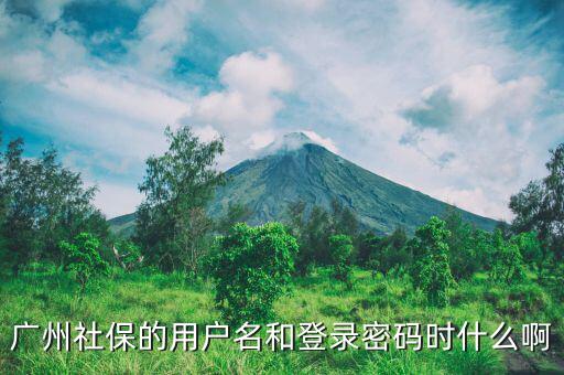 地稅社保用戶名是什么，南京這邊可以國(guó)稅扣稅款一個(gè)賬號(hào)基本戶地稅扣款比如社保