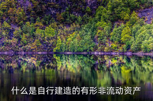 什么叫自建不動(dòng)產(chǎn)，自建不動(dòng)產(chǎn)不共擔(dān)風(fēng)險(xiǎn)的投資行為