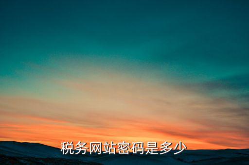 國(guó)稅網(wǎng)登錄密碼是什么，稅務(wù)局網(wǎng)站的登入賬戶初始密碼是什么