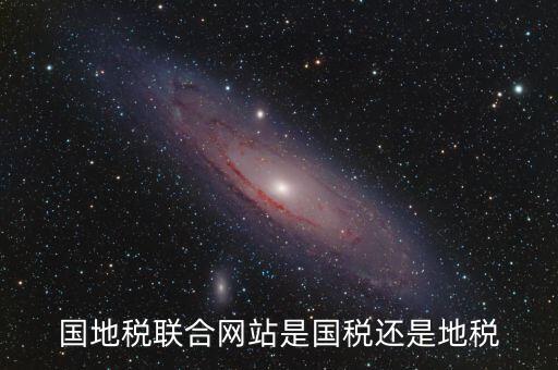 國地稅聯(lián)合辦稅是什么，國地稅聯(lián)合稅費申報什么意思