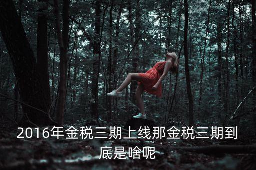 金稅三期包括什么，金稅三期是什么意思