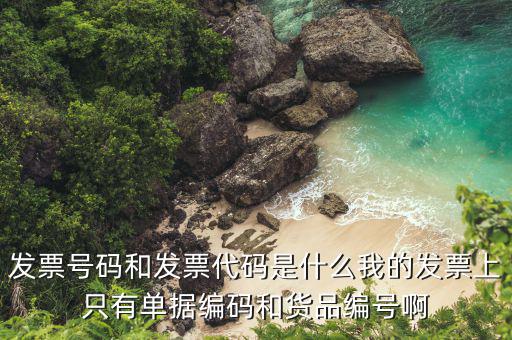 發(fā)票代號(hào)是什么，發(fā)票紙質(zhì)代碼是什么意識(shí)