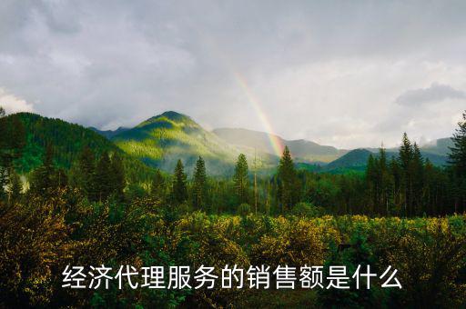 什么是經(jīng)濟代理，請問什么叫經(jīng)濟合同代理人