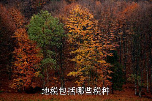 地稅足什么，地稅包括哪些稅種