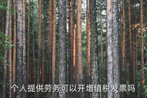 什么是個人勞務發(fā)票嗎，個人開工程勞務費發(fā)票是在工程所在地開具嗎