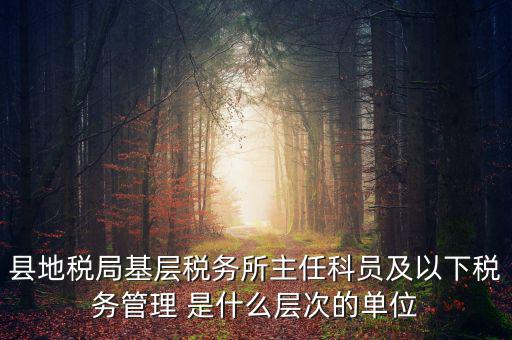 地稅局主任干什么，在地稅局工作寫(xiě)材料具體是怎么工作