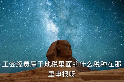 工會(huì)活動(dòng)費(fèi)中稅是什么，工會(huì)經(jīng)費(fèi)屬于地稅里面的什么稅種在那里申報(bào)呀