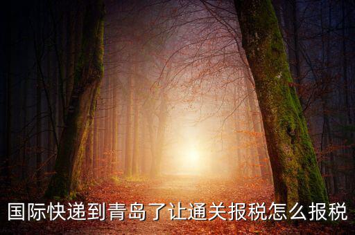 青島物流公司拿什么稅，國際快遞到青島了讓通關(guān)報稅怎么報稅