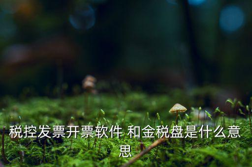 稅控系統(tǒng)指什么，稅控發(fā)票開(kāi)票軟件 和金稅盤(pán)是什么意思