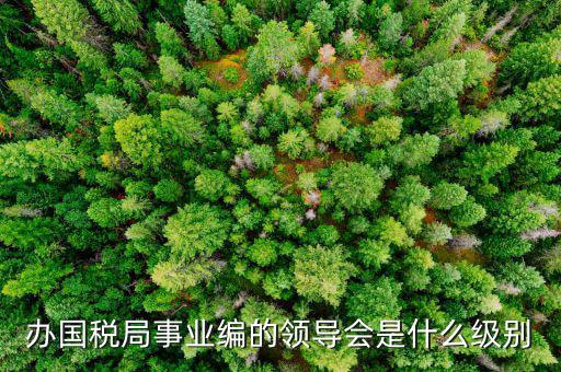 國(guó)稅局主任是什么職位，國(guó)稅局辦公室人員