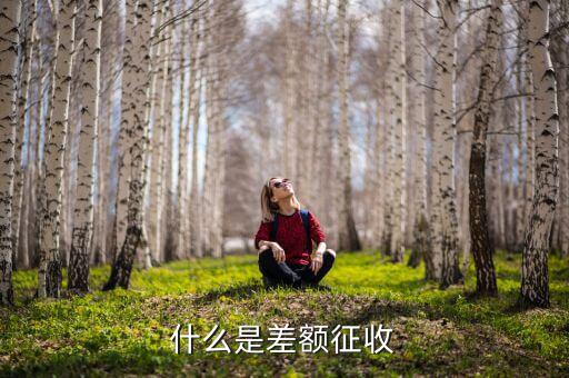 勞務(wù)費差額征稅是什么意思，差額稅是啥東西