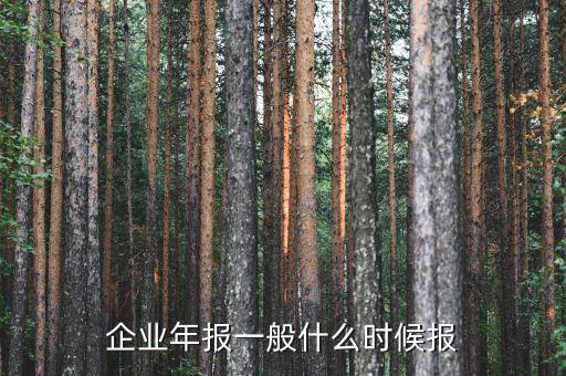 財(cái)務(wù)年報(bào)什么時(shí)候報(bào)，企業(yè)財(cái)務(wù)會(huì)計(jì)報(bào)告什么時(shí)間出具