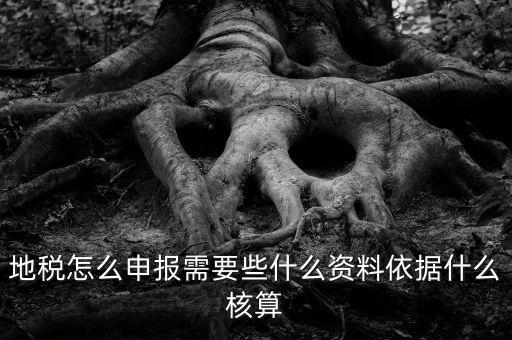 地稅根據什么申報，地稅怎么申報