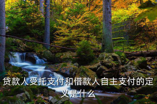自主支出是什么，自主支出是什么意思求解釋