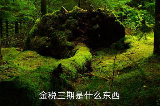 個稅金稅三期是什么意思，金稅三期是什么意思