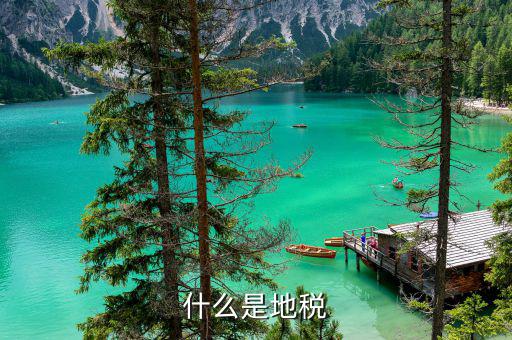 地稅系統(tǒng)是什么，地稅開(kāi)票系統(tǒng)