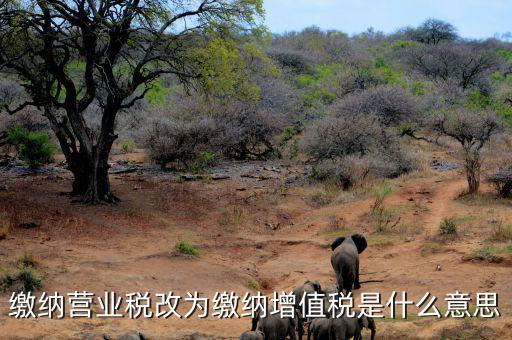 營(yíng)業(yè)稅改為增值稅是什么意思，營(yíng)業(yè)稅改增值稅指的是什么