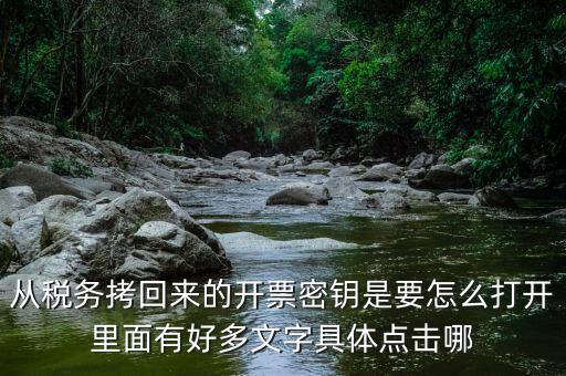 稅務(wù)密鑰是什么，增值稅專用發(fā)票辦理秘鑰是什么意思