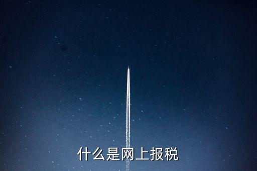 網(wǎng)上報稅是指報什么稅，網(wǎng)上報稅 是報的什么