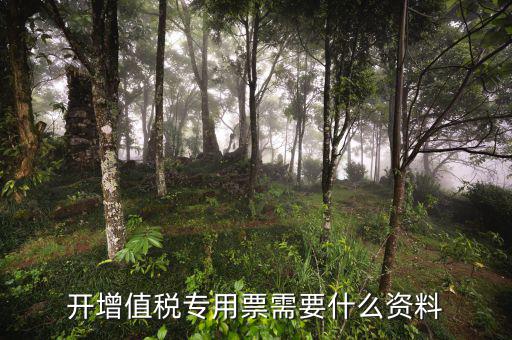稅務(wù)開專票需要什么資料，去開增值稅專用發(fā)票需要交什么資料