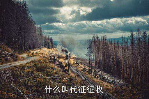 什么叫代征規(guī)費，什么是規(guī)費