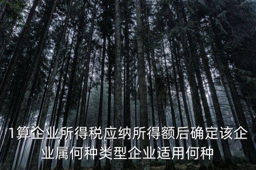 什么企業(yè)屬于小微企業(yè)所得稅，企業(yè)所得稅小微企業(yè)所得稅